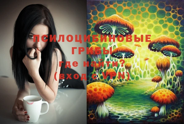 дживик Верхний Тагил