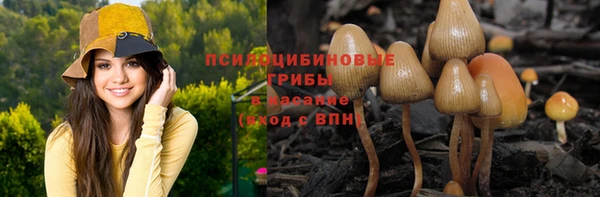 бошки Володарск