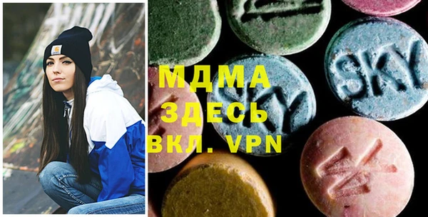 дживик Верхний Тагил