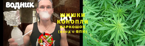 дживик Верхний Тагил