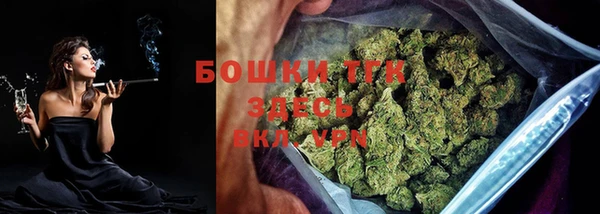 дживик Верхний Тагил