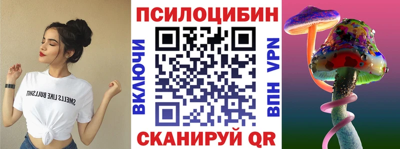 блэк спрут как войти  Демидов  Галлюциногенные грибы Psilocybe 
